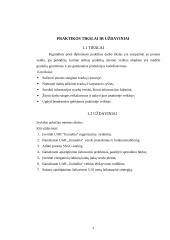 Prieš diplominės praktikos UAB „Granulita“ ataskaita 3 puslapis