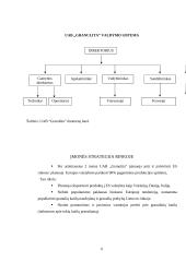 Prieš diplominės praktikos UAB „Granulita“ ataskaita 6 puslapis