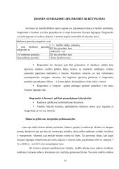 Prieš diplominės praktikos UAB „Granulita“ ataskaita 10 puslapis