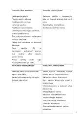 UAB “Arginta” strateginis planavimas 13 puslapis