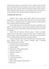 UAB “Arginta” strateginis planavimas 8 puslapis