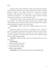 Strateginio valdymo esmė, strategijų klasifikacija, Lietuvos SSGG analizė 2 puslapis