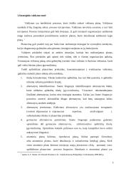 Strateginio valdymo esmė, strategijų klasifikacija, Lietuvos SSGG analizė 3 puslapis