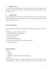 Strateginių sprendimų ypatumai UAB „Statoil“ analizė 11 puslapis