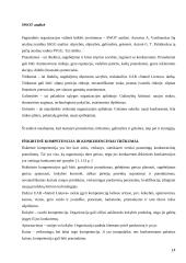 Strateginių sprendimų ypatumai UAB „Statoil“ analizė 14 puslapis