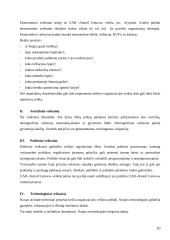 Strateginių sprendimų ypatumai UAB „Statoil“ analizė 10 puslapis