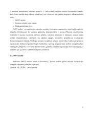 VŠĮ “Žemės ūkio ir žuvininkystės plėtros centras” strateginė analizė 16 puslapis