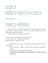 VŠĮ “Žemės ūkio ir žuvininkystės plėtros centras” strateginė analizė 19 puslapis