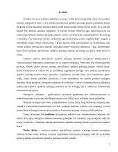 Įmonės "Scandye" strateginis marketingo planas 2 puslapis