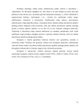Įmonės "Scandye" strateginis marketingo planas 12 puslapis