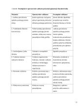 Įmonės "Scandye" strateginis marketingo planas 13 puslapis