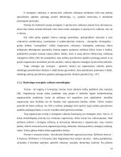 Įmonės "Scandye" strateginis marketingo planas 14 puslapis