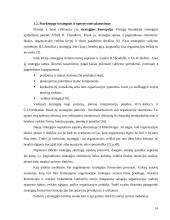 Įmonės "Scandye" strateginis marketingo planas 16 puslapis