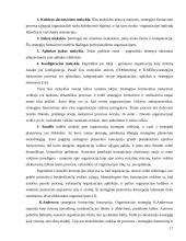 Įmonės "Scandye" strateginis marketingo planas 17 puslapis