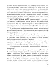 Įmonės "Scandye" strateginis marketingo planas 18 puslapis