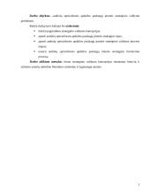 Įmonės "Scandye" strateginis marketingo planas 3 puslapis