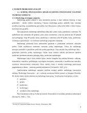 Įmonės "Scandye" strateginis marketingo planas 4 puslapis