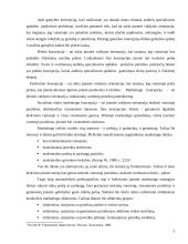 Įmonės "Scandye" strateginis marketingo planas 5 puslapis