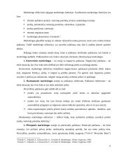 Įmonės "Scandye" strateginis marketingo planas 6 puslapis