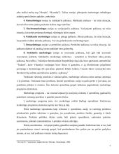 Įmonės "Scandye" strateginis marketingo planas 7 puslapis