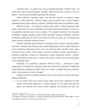 Įmonės "Scandye" strateginis marketingo planas 9 puslapis