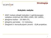 Scandye verslo planas  13 puslapis