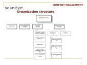Scandye verslo planas  15 puslapis