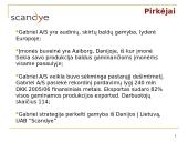 Scandye verslo planas  17 puslapis