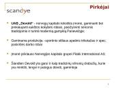 Scandye verslo planas  18 puslapis