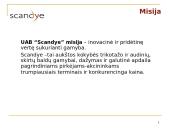 Scandye verslo planas  5 puslapis