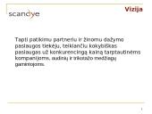 Scandye verslo planas  6 puslapis