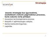 Scandye verslo planas  8 puslapis