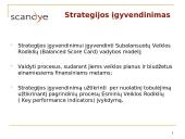 Scandye verslo planas  9 puslapis