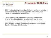 Scandye verslo planas  10 puslapis