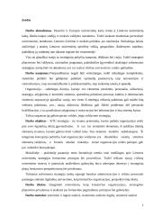 KTU strateginis planavimas 2 puslapis