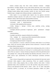 KTU strateginis planavimas 11 puslapis