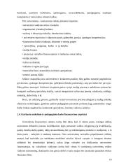 KTU strateginis planavimas 18 puslapis