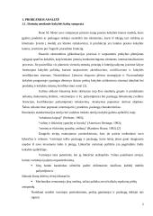 Išorinių nesekmės  kaštų vertnimo modelis  3 puslapis