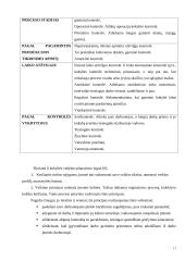 Kokybės kontrolė įmonėje 17 puslapis