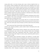 Statistinių kokybės valdymo metodų taikymas mėsos įmonėje ir galimybių taikymas 11 puslapis