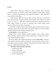 Kontrolės organizavimas 2 puslapis