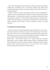 Kontrolės organizavimas 14 puslapis