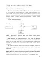 Kontrolės organizavimas 15 puslapis