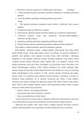 Kontrolės organizavimas 16 puslapis