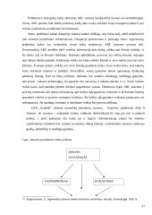 Kontrolės organizavimas 17 puslapis