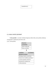 Kontrolės organizavimas 18 puslapis