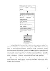 Kontrolės organizavimas 19 puslapis