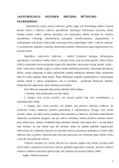 Kontrolės organizavimas 3 puslapis