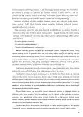 Kontrolės organizavimas 6 puslapis