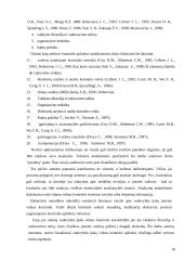 Kontrolės organizavimas 10 puslapis